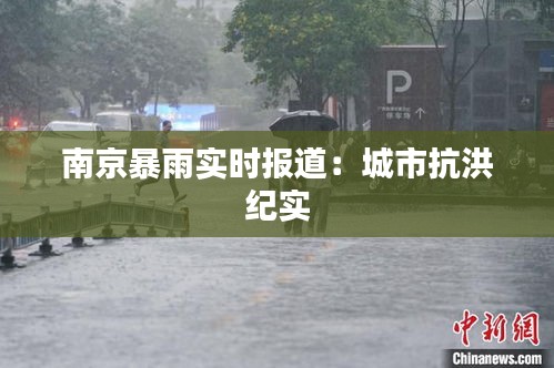 南京暴雨實(shí)時(shí)報(bào)道：城市抗洪紀(jì)實(shí)