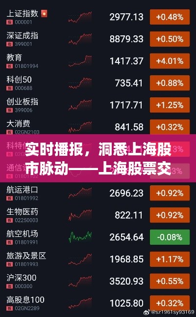 實(shí)時(shí)播報(bào)，洞悉上海股市脈動(dòng)——上海股票交易實(shí)時(shí)動(dòng)態(tài)解析