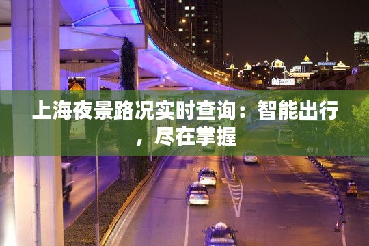 上海夜景路況實(shí)時(shí)查詢：智能出行，盡在掌握