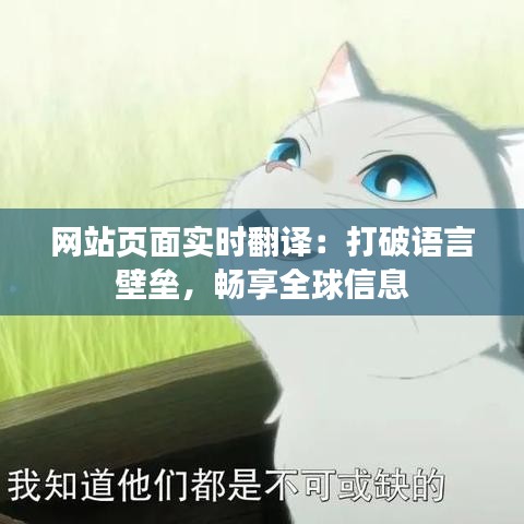 網(wǎng)站頁(yè)面實(shí)時(shí)翻譯：打破語(yǔ)言壁壘，暢享全球信息