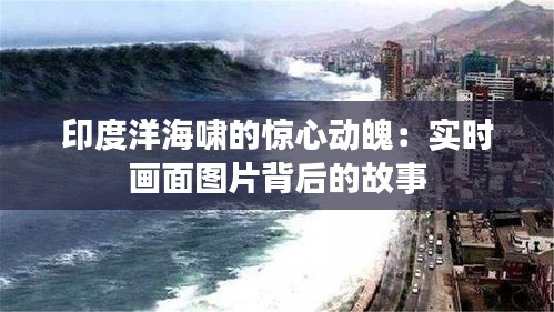 印度洋海嘯的驚心動魄：實時畫面圖片背后的故事