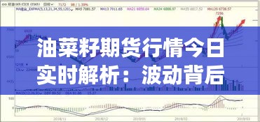 油菜籽期貨行情今日實(shí)時(shí)解析：波動(dòng)背后的市場(chǎng)邏輯