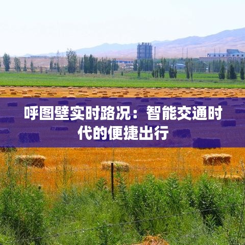 走馬章臺(tái) 第3頁(yè)