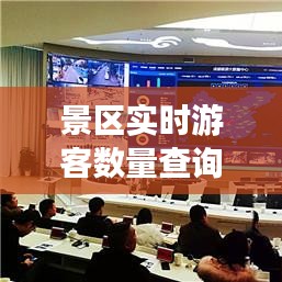 景區(qū)實時游客數(shù)量查詢：智慧旅游新時代的便捷體驗