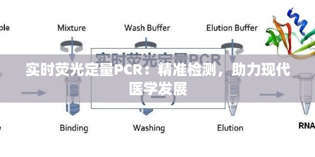實(shí)時(shí)熒光定量PCR：精準(zhǔn)檢測(cè)，助力現(xiàn)代醫(yī)學(xué)發(fā)展