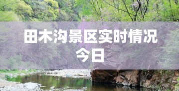 田木溝景區(qū)實(shí)時(shí)情況今日