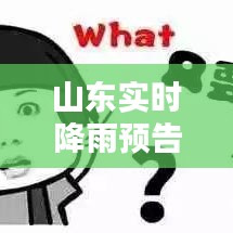 山東實(shí)時(shí)降雨預(yù)告：最新天氣動(dòng)態(tài)與防范措施