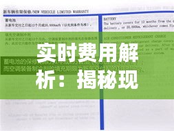 實(shí)時(shí)費(fèi)用解析：揭秘現(xiàn)代消費(fèi)中的透明秘密