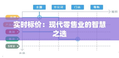 實時標(biāo)價：現(xiàn)代零售業(yè)的智慧之選