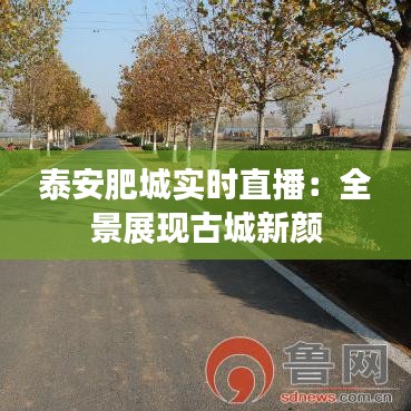 泰安肥城實時直播：全景展現(xiàn)古城新顏