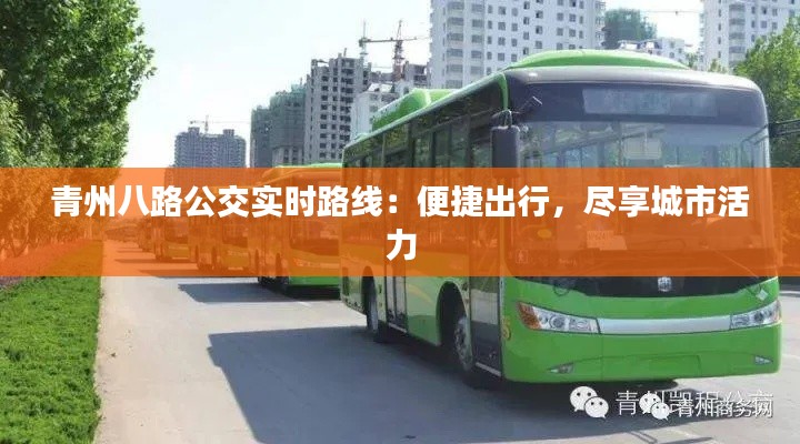 青州八路公交實(shí)時(shí)路線：便捷出行，盡享城市活力
