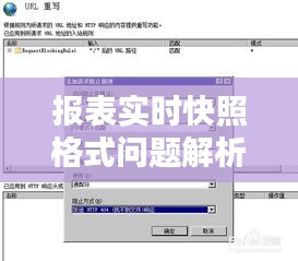 報(bào)表實(shí)時(shí)快照格式問題解析與解決方案