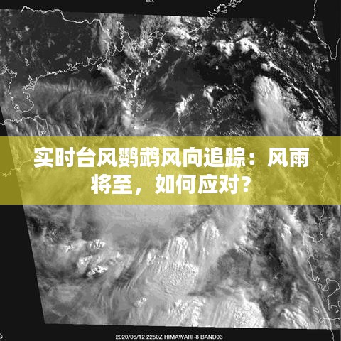 實時臺風(fēng)鸚鵡風(fēng)向追蹤：風(fēng)雨將至，如何應(yīng)對？