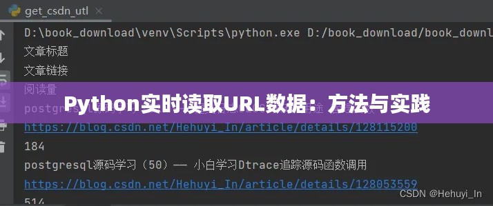 Python實時讀取URL數(shù)據(jù)：方法與實踐
