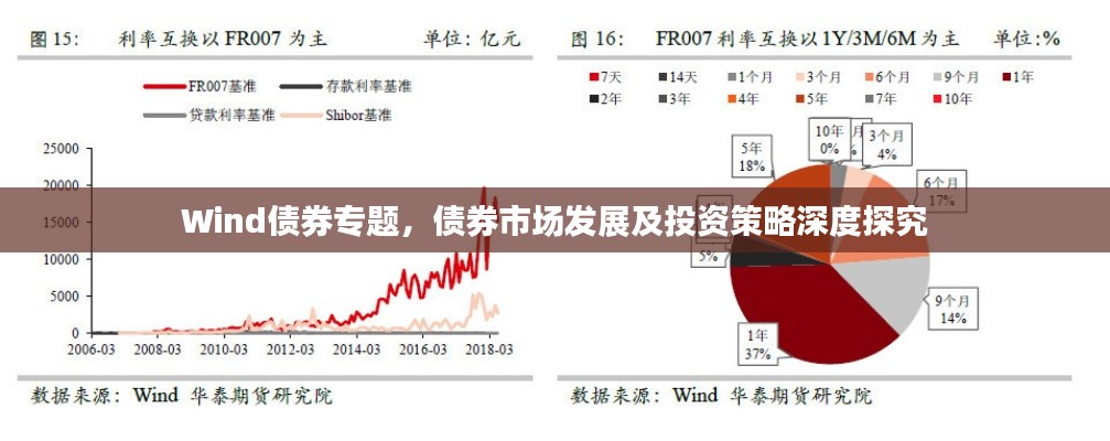 Wind債券專題，債券市場發(fā)展及投資策略深度探究