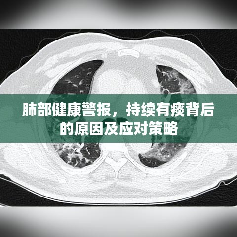 肺部健康警報，持續(xù)有痰背后的原因及應(yīng)對策略