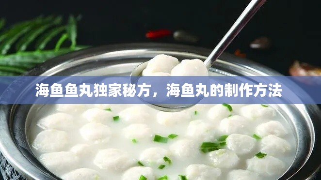 海魚(yú)魚(yú)丸獨(dú)家秘方，海魚(yú)丸的制作方法 