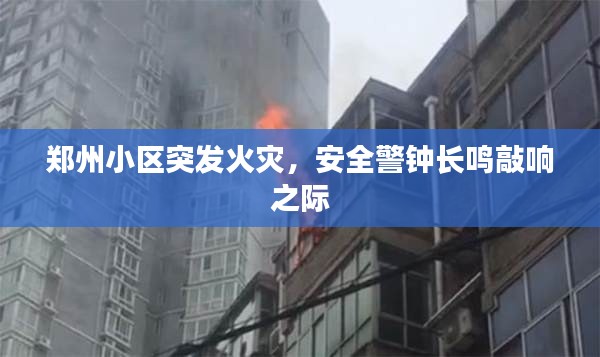 雅人清致 第3頁(yè)