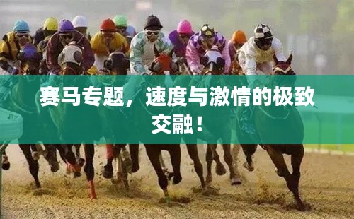 賽馬專(zhuān)題，速度與激情的極致交融！