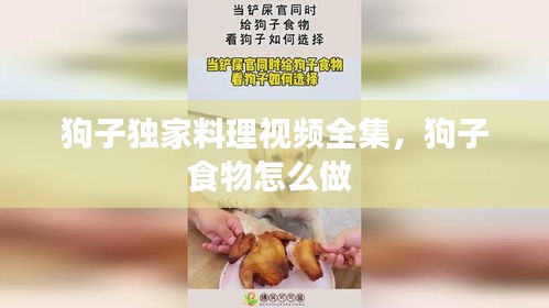 狗子獨(dú)家料理視頻全集，狗子食物怎么做 