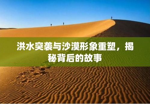 洪水突襲與沙漠形象重塑，揭秘背后的故事