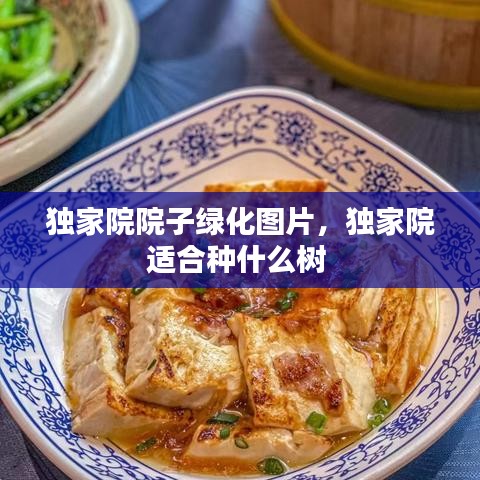 獨(dú)家院院子綠化圖片，獨(dú)家院適合種什么樹(shù) 