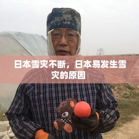 日本雪災(zāi)不斷，日本易發(fā)生雪災(zāi)的原因 