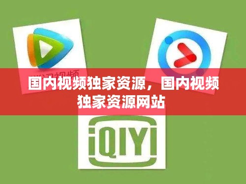 國內(nèi)視頻獨(dú)家資源，國內(nèi)視頻獨(dú)家資源網(wǎng)站 