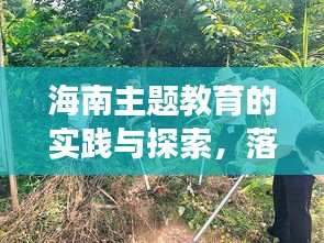 海南主題教育的實(shí)踐與探索，落地生根，成效顯著