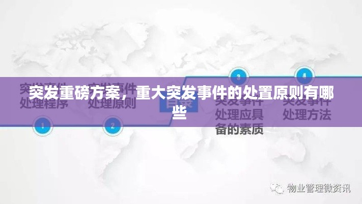 突發(fā)重磅方案，重大突發(fā)事件的處置原則有哪些 