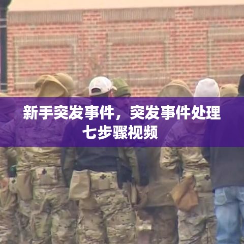 新手突發(fā)事件，突發(fā)事件處理七步驟視頻 