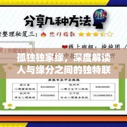 孤獨獨家緣，深度解讀人與緣分之間的獨特聯(lián)系
