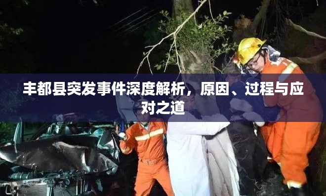 豐都縣突發(fā)事件深度解析，原因、過程與應(yīng)對之道