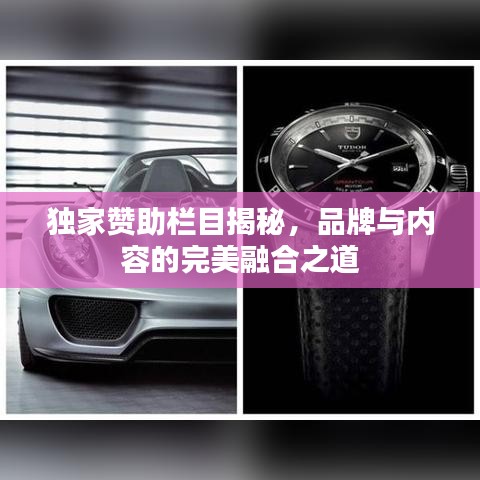 獨(dú)家贊助欄目揭秘，品牌與內(nèi)容的完美融合之道