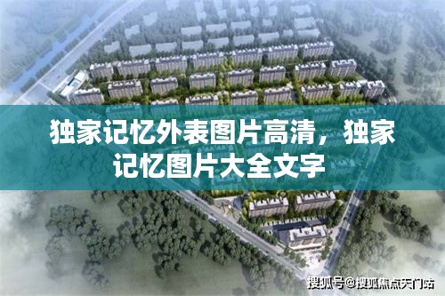 獨(dú)家記憶外表圖片高清，獨(dú)家記憶圖片大全文字 