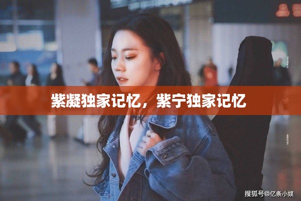 紫凝獨(dú)家記憶，紫寧獨(dú)家記憶 