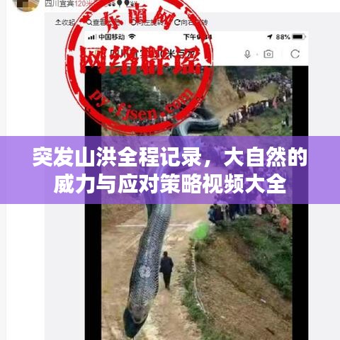 突發(fā)山洪全程記錄，大自然的威力與應(yīng)對策略視頻大全