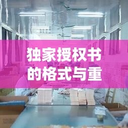 獨家授權書的格式與重要性解析