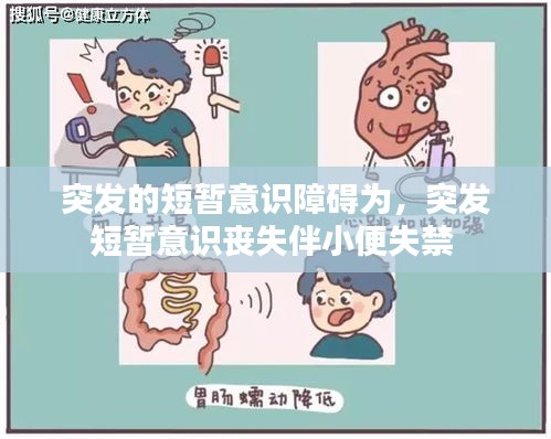 突發(fā)的短暫意識障礙為，突發(fā)短暫意識喪失伴小便失禁 