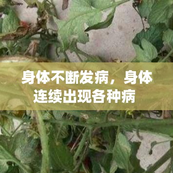 身體不斷發(fā)病，身體連續(xù)出現(xiàn)各種病 