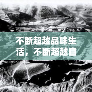 不斷超越品味生活，不斷超越自我是什么意思 