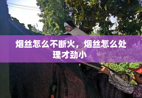 煙絲怎么不斷火，煙絲怎么處理才勁小 