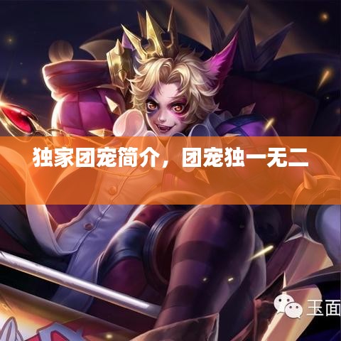 獨家團(tuán)寵簡介，團(tuán)寵獨一無二 