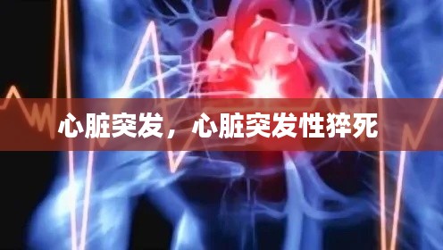 心臟突發(fā)，心臟突發(fā)性猝死 