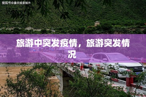 旅游中突發(fā)疫情，旅游突發(fā)情況 