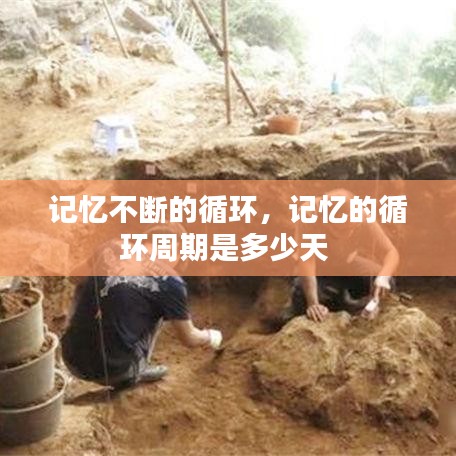 記憶不斷的循環(huán)，記憶的循環(huán)周期是多少天 