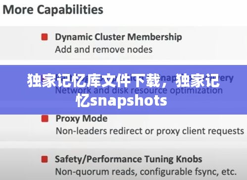 獨家記憶庫文件下載，獨家記憶snapshots 