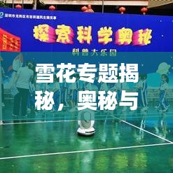 雪花專(zhuān)題揭秘，奧秘與魅力的探索之旅