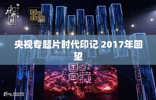 央視專題片時(shí)代印記 2017年回望