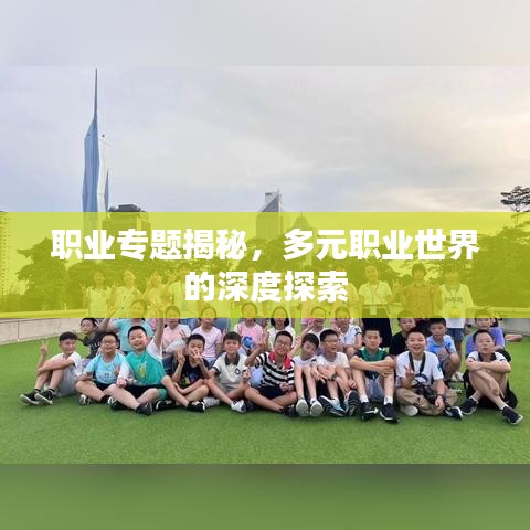 職業(yè)專題揭秘，多元職業(yè)世界的深度探索
